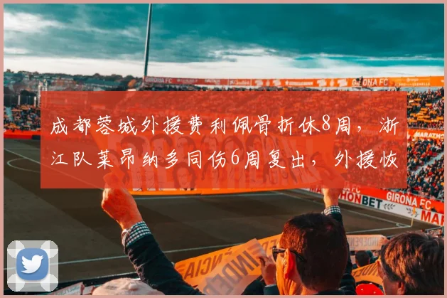 成都蓉城外援费利佩骨折休8周，浙江队莱昂纳多同伤6周复出，外援恢复差异