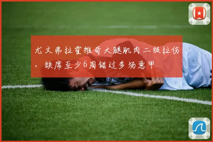 尤文弗拉霍维奇大腿肌肉二级拉伤,缺席至少6周错过多场意甲