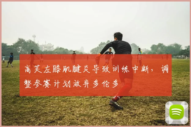 高芙左膝肌腱炎导致训练中断,调整参赛计划放弃多伦多
