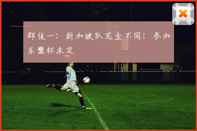邵佳一:新加坡队完全不同;参加东盟杯未定